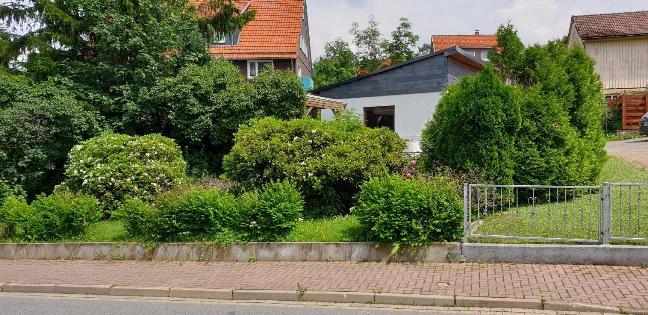 Ferienwohnung Schone Auszeit Hohegeiß Eksteriør billede